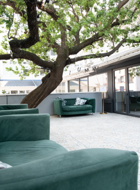 Articol (previzualizare) 285 x 386 px